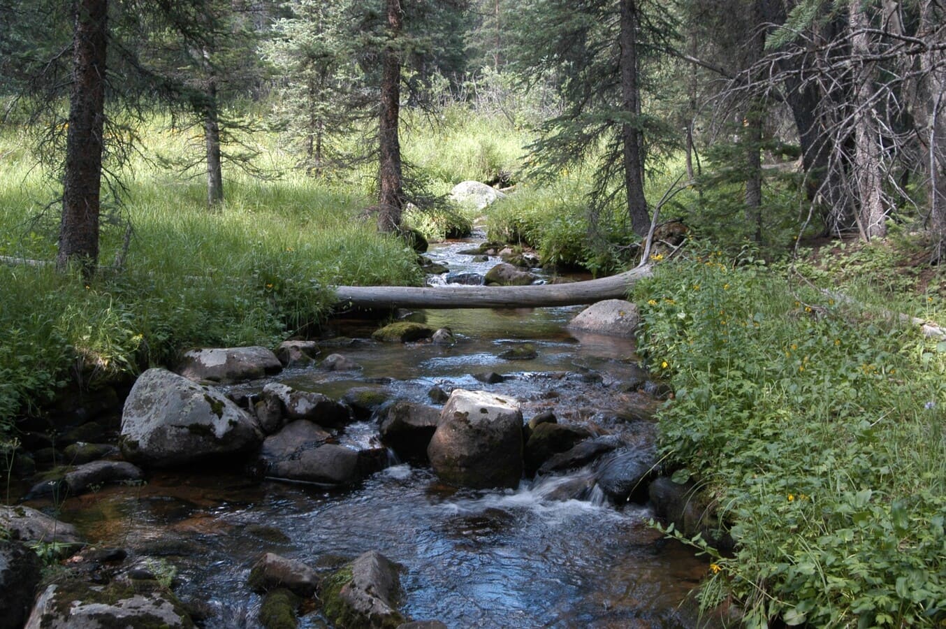 川のイメージ1枚目