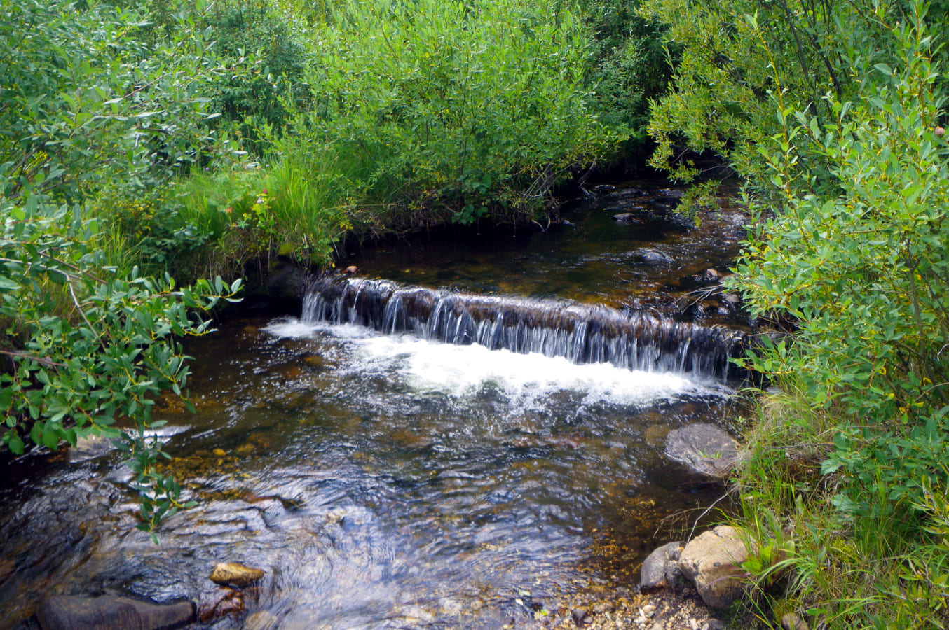 川のイメージ2枚目