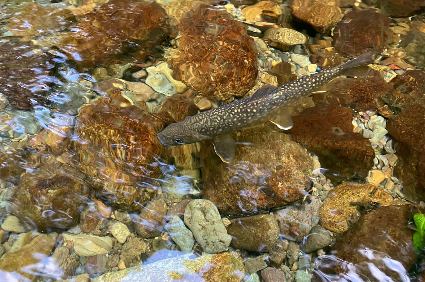 川のイメージ3枚目
