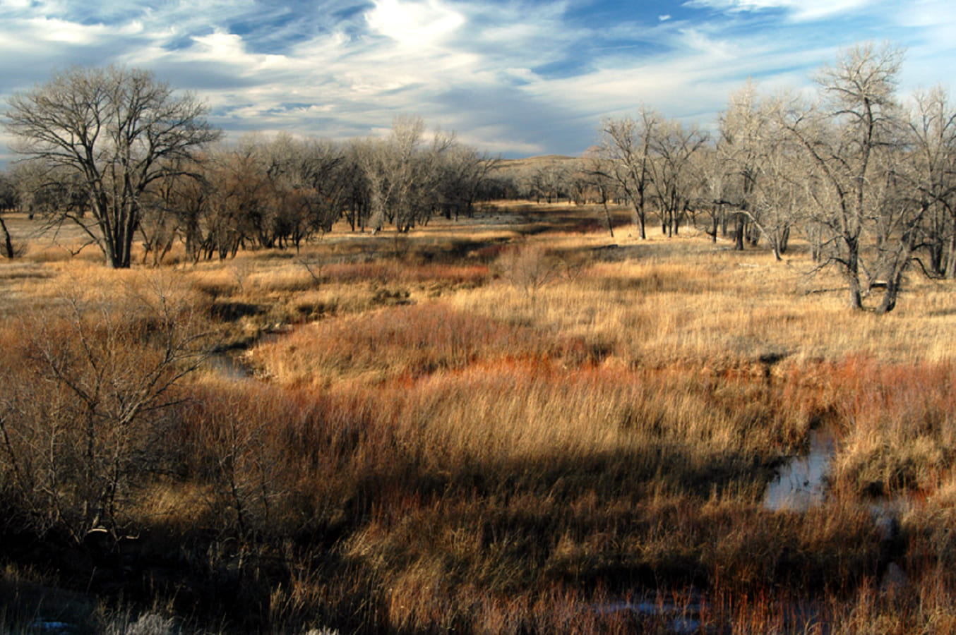 川のイメージ4枚目