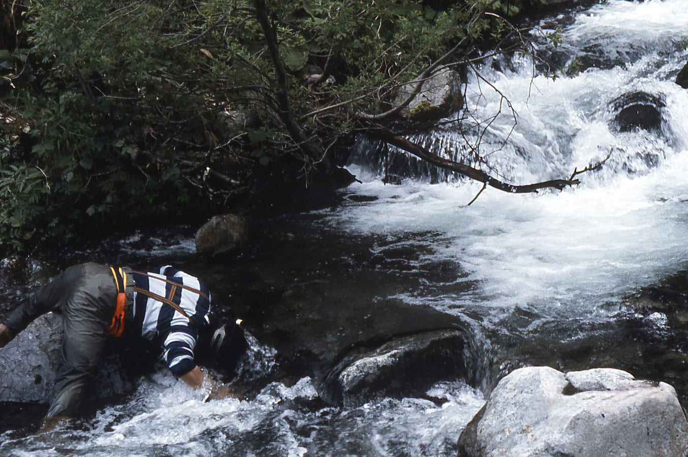 川のイメージ5枚目