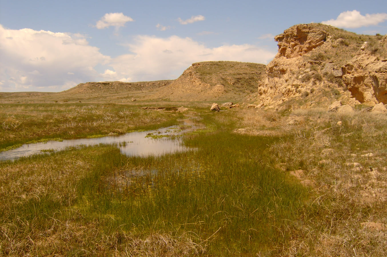 川のイメージ7枚目