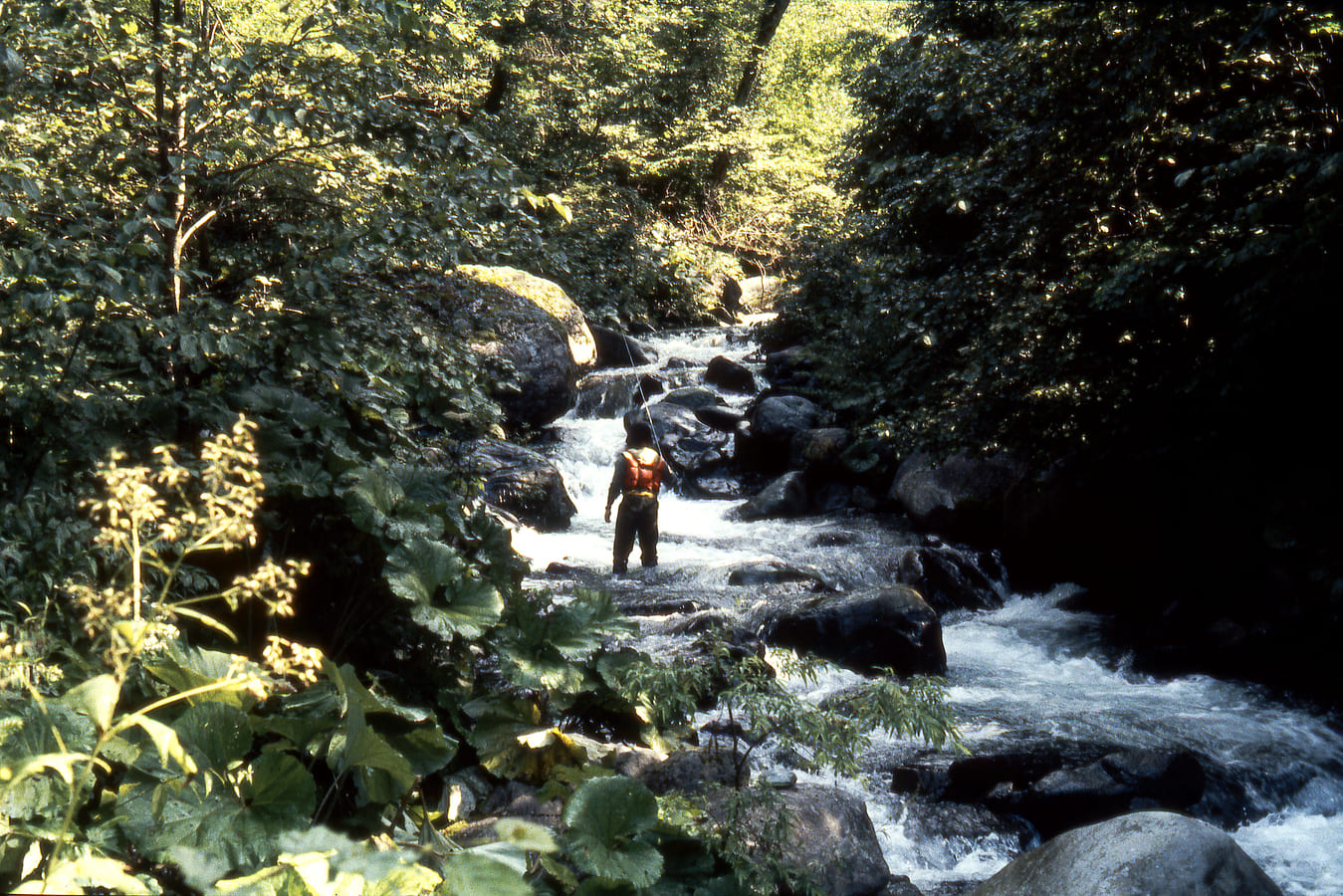 川のイメージ9枚目